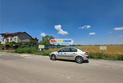 Teren Construcții intravilan de 24995 mp, în Clinceni - 27