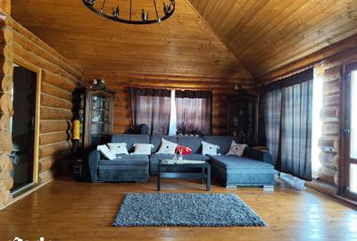 Teren de 63700 mp, în Borș - 17