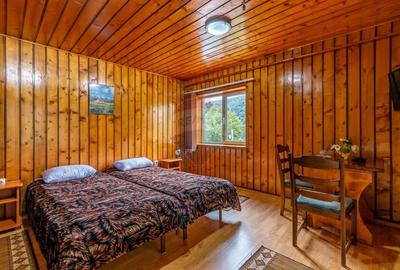 Casă individuală cu 10 camere cu Teren 250 Mp în Castelul Peleș - 12