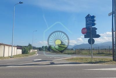 TEREN STUPINI BRASOV - 6