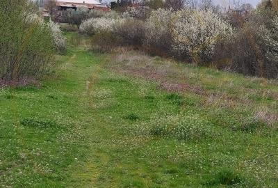 Teren Topoloveni - 3670 mp - langa padure, aproape de Centrul orasului - 3