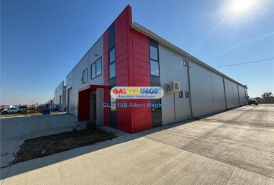 Inchiriere hala depozitare Parc Industrial TBM Rudeni Inchiriere hala depozitare Parc Industrial TBM Rudeni - 15