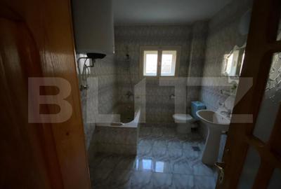 Vila 7 camere, 750mp-teren, BAILE HERCULANE - 1