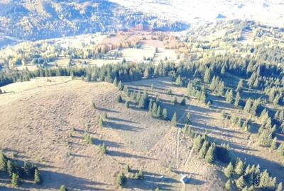 Teren extravilan de 47732 mp, în Panaci - 8