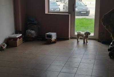 Spațiu comercial, de 30 mp, în Central - 4