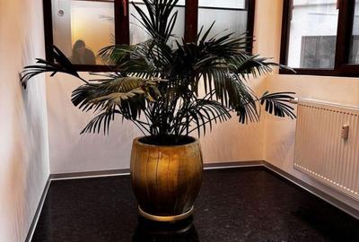 Spațiu comercial, de 120 mp, în Romană - 6