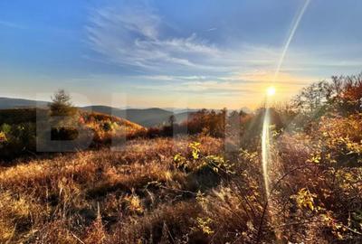 Teren de 5300 mp, în Râmeț - 3