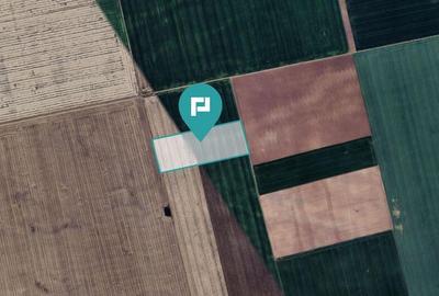 Teren arabil de 4,4Ha in ?imand - 4