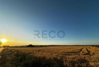 Teren de 2303 mp, în Cheriu - 10