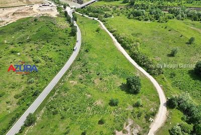 AZURA Imobiliare - Teren Topoloveni Bamesa Autostrada - 4