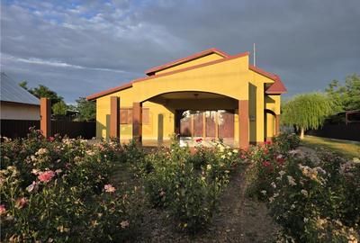 Casă individuală cu 5 camere cu Garaj în Pântecani - 1