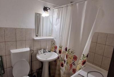 Garsonieră nedecomandată în Păușești - 5