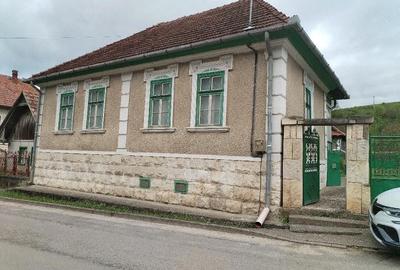 Casă cu 3 camere cu Teren 3400 Mp în Viștea - 3