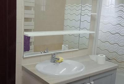Apartament cu 2 camere semidecomandat în Podu Roș - 5