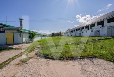 Proprietate industriala cu hale moderne, teren generos si acces Autostrada A1 Proprietate industriala cu hale moderne, teren generos si acces Autostrada A1 - 18