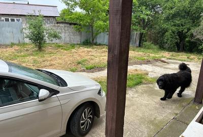 Casă cu 3 camere cu Teren 1000 Mp în Central - 3