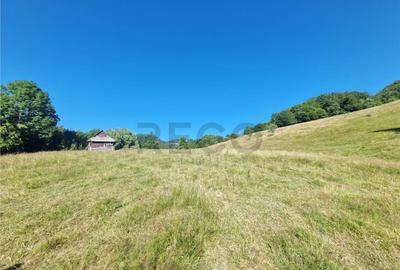 RECO teren extravilan Remeti - 8