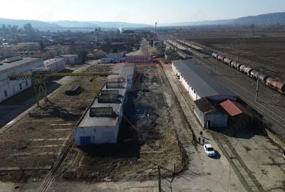 Spațiu comercial, de 17,000 mp, în Daneș - 11