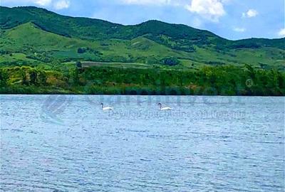 Teren Construcții extravilan de 204100 mp, în Luna - 4