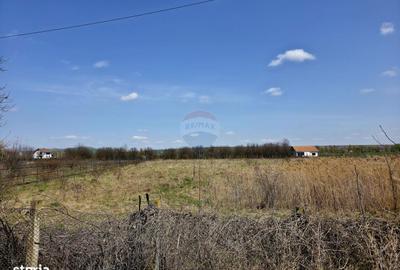 Spațiu comercial, în Boțești - 8