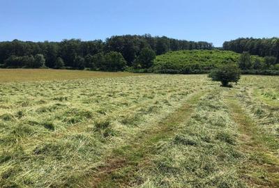 Teren arabil de 630 hectare in Gala?i - 5