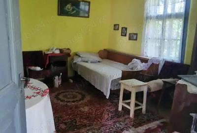 Casă cu 3 camere cu Teren 1853 Mp în Devesel - 9