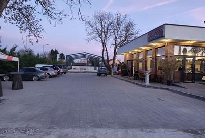 Spațiu comercial, de 486 mp, în Moara Vlăsiei - 3