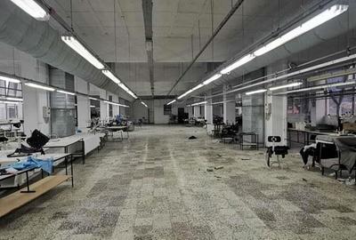 Inchiriere spatiu comercial depozitare servicii langa Lidl negociabil - 12