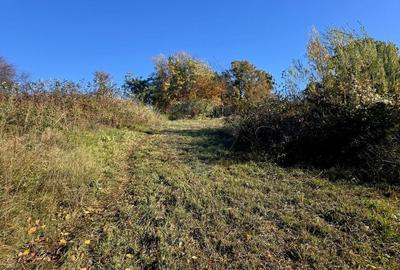 Casa / Vila cu 5 camere de vanzare - 8