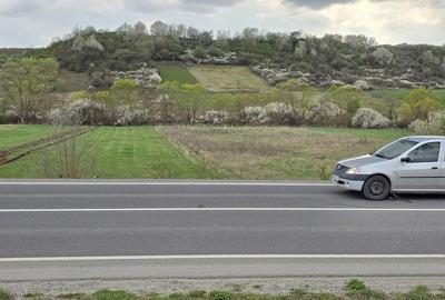 Teren de 5011 mp, în Hidiș - 4