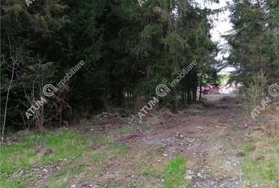 Teren intravilan de vanzare in Avrig zona Valea Avrigului - 3