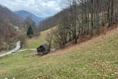 Teren de 12877 mp, în Bulz