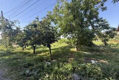 Casă individuală cu 3 camere cu Canalizare în Târgșoru Nou - 17