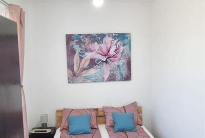 Apartament cu 2 camere semidecomandat în Băile Felix - 4
