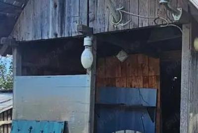 Persoana Fizica vand Teren Cluj - Borsa Catun - Intravilan 2300 mp - Extras CF - Cabana - Foisor - 3