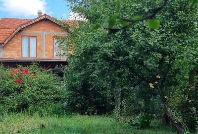 Casă cu 5 camere cu Teren 1374 Mp în Central - 9