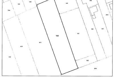 Teren intravilan 4.000 mp, CALARASI, ROSETI - 2