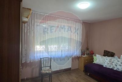Casa de Vis la Macea - Complet Renovata si Gata de Locuit! - 18