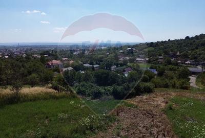 OCAZIE! Teren IEFTIN de vanzare in Baia Mare, pe Valea Borcutului - 6
