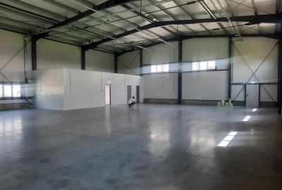 Hala noua de inchiriat, Zona Aeroport - 2