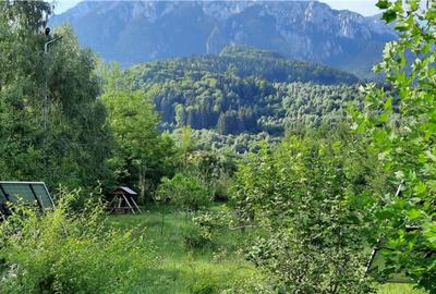 Complex turistic,afacere la cheie,3 vile, teren 7.700 mp,pan - 5