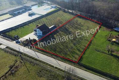 Teren de 4166 mp, în Stănești - 5