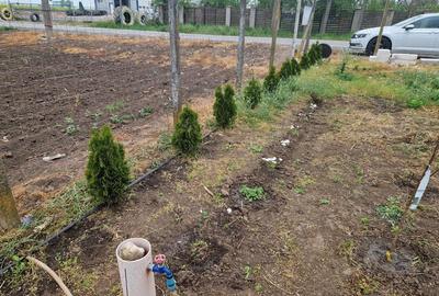 Teren de 1120 mp, în Drajna Nouă - 7