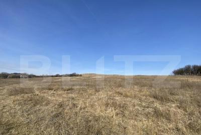 Teren extravilan in suprafata de 140551 mp in loc. Recea - 1