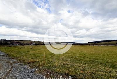 Teren intravilan in Tocile - 4354 m² - 2 fronturi - oferta competitiva - 17