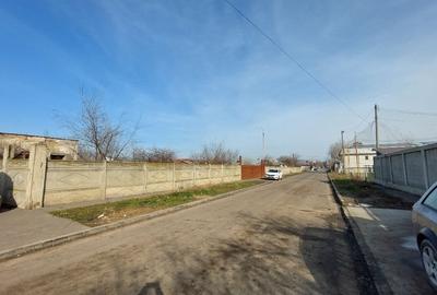 Braila, Str. Castanului - 3767 mp - 1