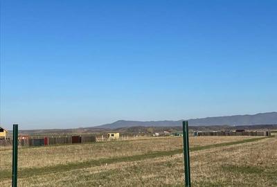 Vanzare terem pentru case Halchiu - 4