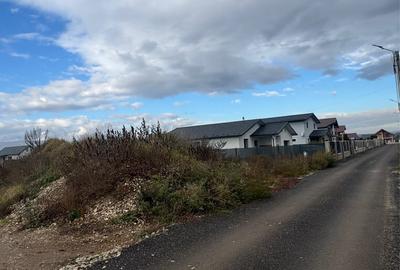 Teren pentru construc?ii (casa) 650mp - 3