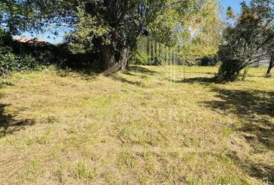 Teren de 3234 mp, în Lerești - 6