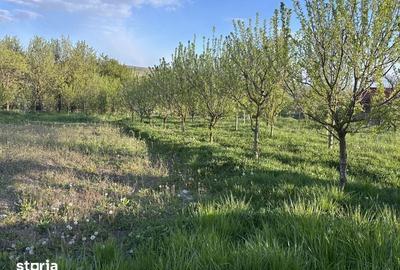 Teren de 1000 mp, în Aiton